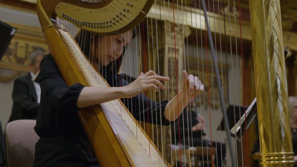 Vienna_Musikverein_23.jpg
